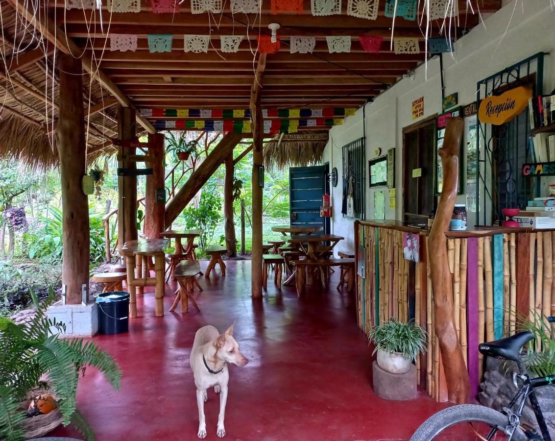 La Urraca Loca Hostel Balgue エクステリア 写真