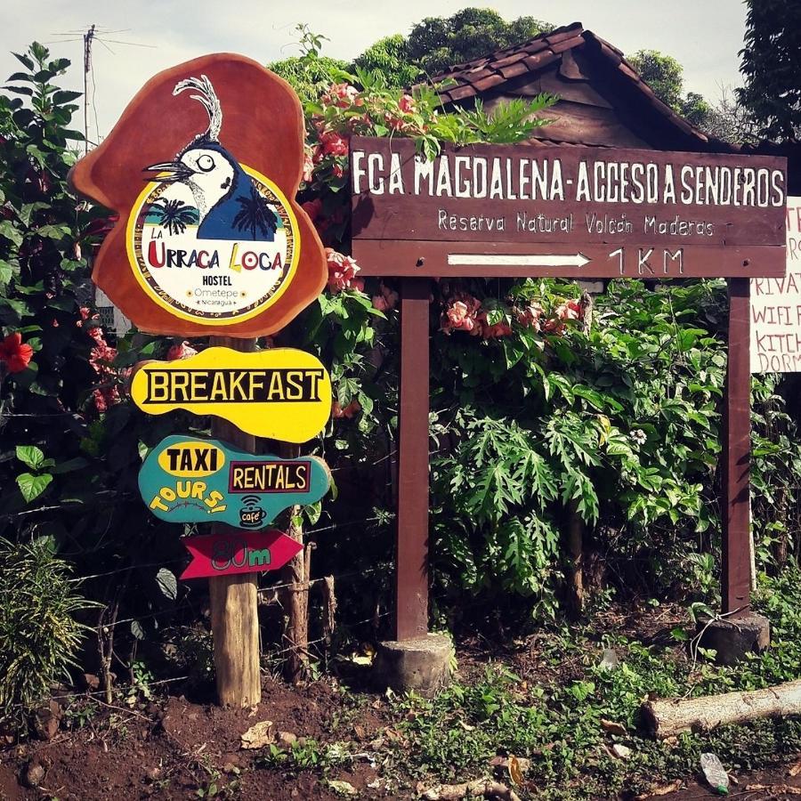 La Urraca Loca Hostel Balgue エクステリア 写真